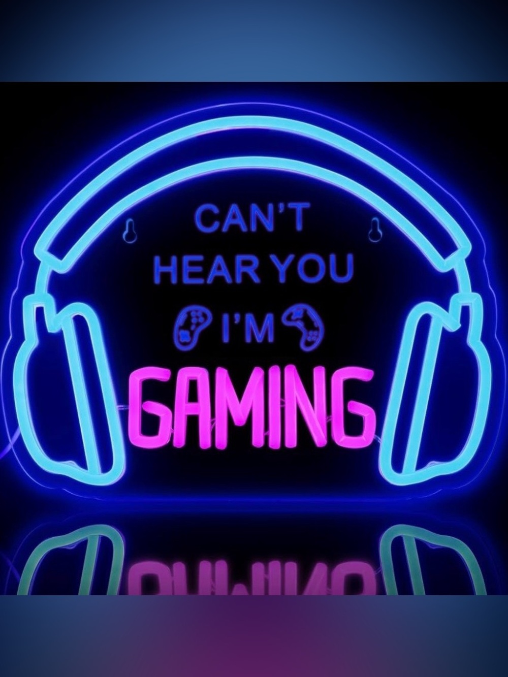 Can’t hear you I’m Gaming  Neon Gaming Sign - Blue and Pink- usb plug in